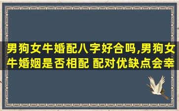 男狗女牛婚配八字好合吗,男狗女牛婚姻是否相配 配对优缺点会幸福吗